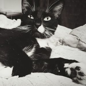 Meet your Posher, Jade